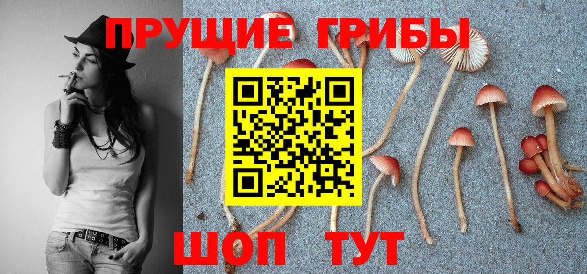 Галлюциногенные грибы Cubensis Новороссийск