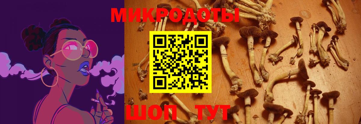 Галлюциногенные грибы мицелий  Галлюциногенные грибы GOLDEN TEACHER  Новороссийск  Вход с VPN 